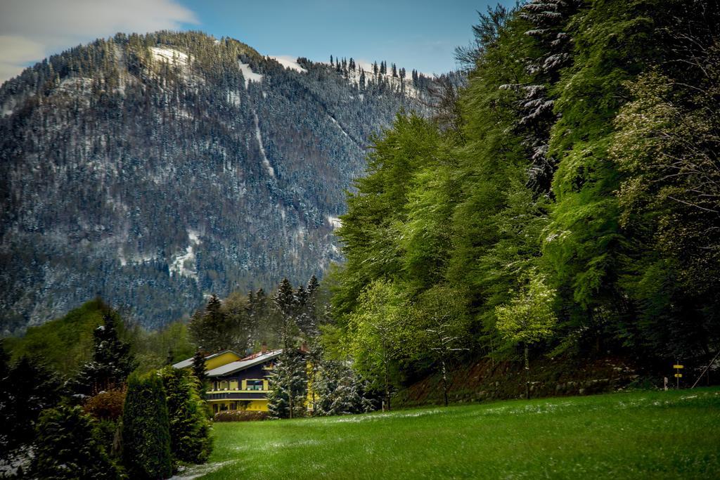 Hotel Garni Zeranka Ruhpolding Exterior foto